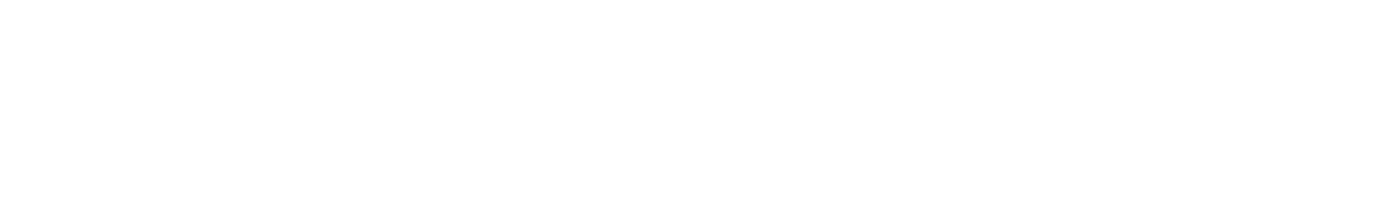 CySec Intern